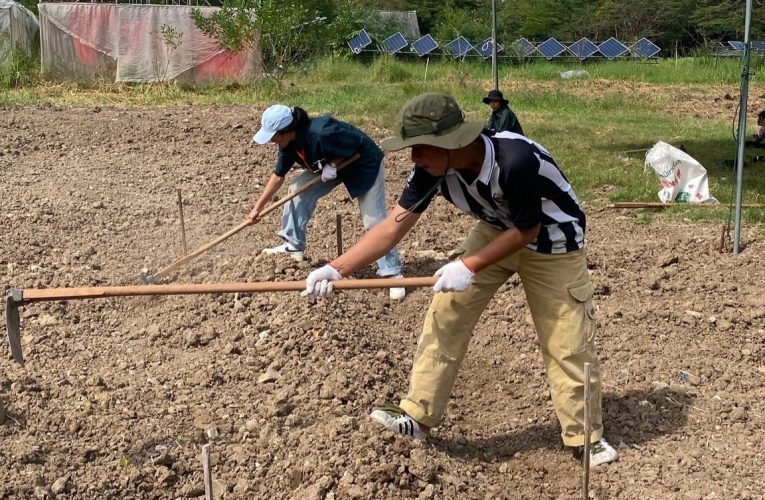 ม.แม่โจ้คว้าแชมป์ ประเพณี4จอบแห่งชาติ 2 ปีต่อเนื่องครองถ้วยพระราชทาน สมเด็จพระเจ้าน้องนางเธอ เจ้าฟ้าจุฬาภรณวลัยลักษณ์ อัครราชกุมารี กรมพระศรีสวางควัฒน วรขัตติยราชนารี