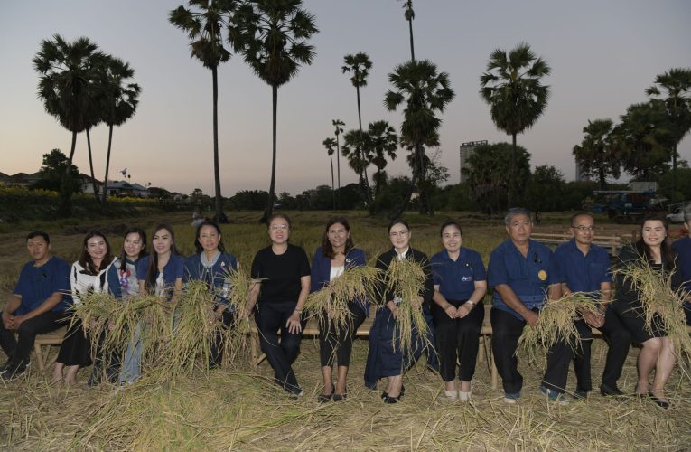 นนทบุรี-เปิดกิจกรรม “เกี่ยวข้าวชมทุ่งดอกทานตะวัน กลางใจเมืองนนท์ที่บางรักน้อย” ส่งเสริมการท่องเที่ยวชุมชน