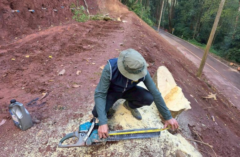 น่าน ตำรวจ ปทส ตรวจจับบริษัทเอกชนบุกรุกป่าต้นน้ำ