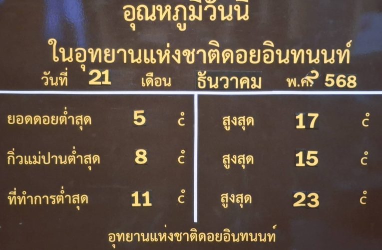 อากาศยังคงหนาวอุณหภูมิ 5 องศา ที่ยอดดอยอินทนนท์ นักท่องเที่ยวคึกคักช่วงวันหยุด ขึ้นสัมผัสอากาศหนาว ชมแสงอาทิตย์ยามเช้า ทะเลหมอก ดอกพญาเสือโคร่งเริ่มเบ่งบาน แต่ละแหล่งท่องเที่ยวและอุทยานต่าง ๆ ในเชียงใหม่