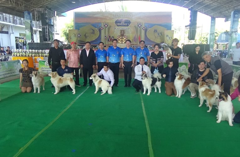 สมาคมส่งเสริมอนุรักษ์ และพัฒนาสุนัขไทยพันธุ์บางแก้วในประเทศไทย ร่วมกับ อำเภอบางระกำ จังหวัดพิษณุโลก จัดประกวด สุนัขไทยพันธุ์บางแก้ว ชิงถ้วยพระราชทาน