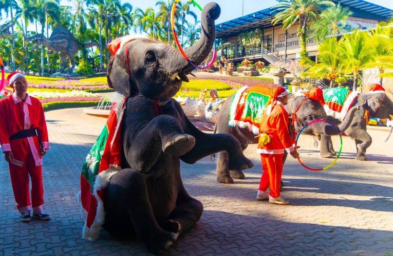 สวนนงนุชพัทยาจัดใหญ่! คริสต์มาสแฟนตาซีสุดอลังการช้างซานตาคลอส–พาเหรดแห่งความสุข เที่ยวคุ้มทั้งครอบครัว พลาดไม่ได้!**