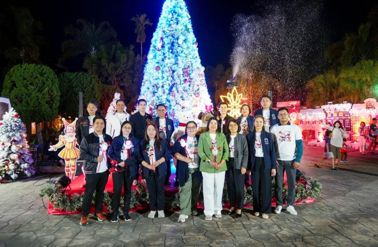 เชียงใหม่ไนท์ซาฟารี เปิดไฟต้นคริสต์มาส ต้อนรับวันคริสต์มาสและวันขึ้นปีใหม่