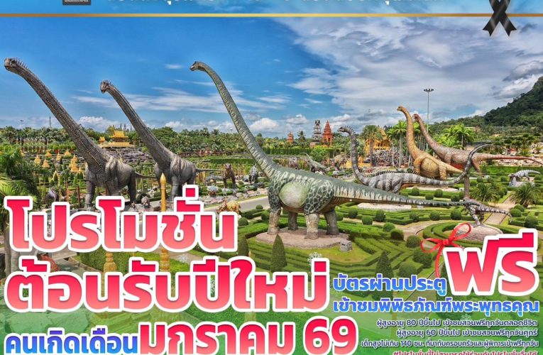ส่งท้ายปีเก่าต้อนรับปีใหม่ 2569 สวนนงนุชพัทยามอบของขวัญสุดพิเศษ ชวนสัมผัสทะเลดอกไม้บานสะพรั่งทั่วทั้งสวน