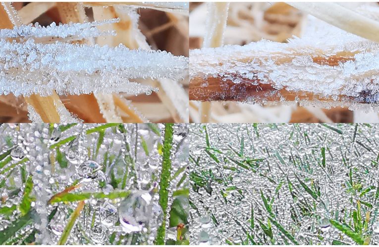 อากาศหนาว บนยอดอินทนนท์ เกิดเหมยขาบอีกครั้ง อุณหภูมิ 6 องศา นักท่องเที่ยวได้สัมผัสอากาศหนาว พบน้ำค้างแข็งเกาะยอดหญ้า อุณหภูมิยอดหญ้า 0.4 องศา ดอกพญาเสือโคร่ง(ซากุระเมืองไทย)เริ่มเบ่งบานแล้ว