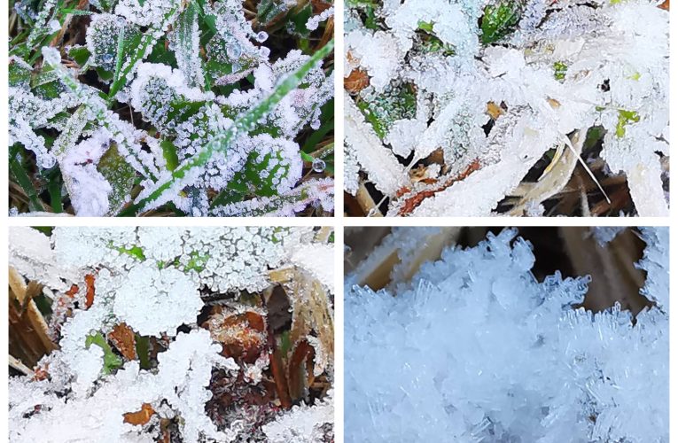 อากาศหนาวยะเยือกที่เชียงใหม่ อุณหภูมิ 3 องศา ที่ยอดดอย ติดลบ -3.5 เกิดปรากฏการณ์เหมยขาบ ,น้ำค้างแข็ง เกาะเต็มม้านั่งไม้,ราวไม้ ขาวโพล และหลังงคารถยนต์กระจกหน้า นัก่ท่องเที่ยวคึกคัก