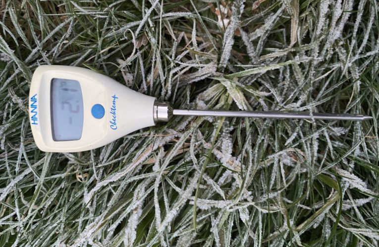 กาศหนาว 2 องศาที่ดอยอินทนนท์ อุณหภูมิยอดหญ้าติดลบ -2.1 และ 0.2 องศา เกิดเหมยขาบเกาะหลังคารถ กระจกหน้า รวมทั้ง เบาะรถจักรยานยนต์ ขาวโพล นักท่องเที่ยวเกือบหมื่่นคน เข้าสัมผัสอากาศหนาวที่ดอยอินทนนท์