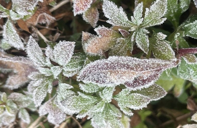 อากาศหนาวอุณหภูมิต่ำสุด 5 องศา ยอดหญ้า 0.4 องศา เกิดเหมยขาบครั้งที่ 22 นักท่องเที่ยวคึกคัก ทะลุหมื่นคน ในเขตอุทยานแห่งชาติดอยอินทนนท์ เปิดภาพมุมสูงนักท่องเที่ยวแห่ขึ้นดอยอินทนนท์ การจราจรหนาแน่น