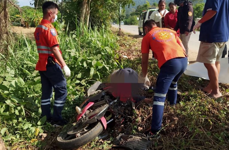 เครียดถูกไล่ออกจากงานกินเหล้าเมาชนต้นไม้ดับคาที่