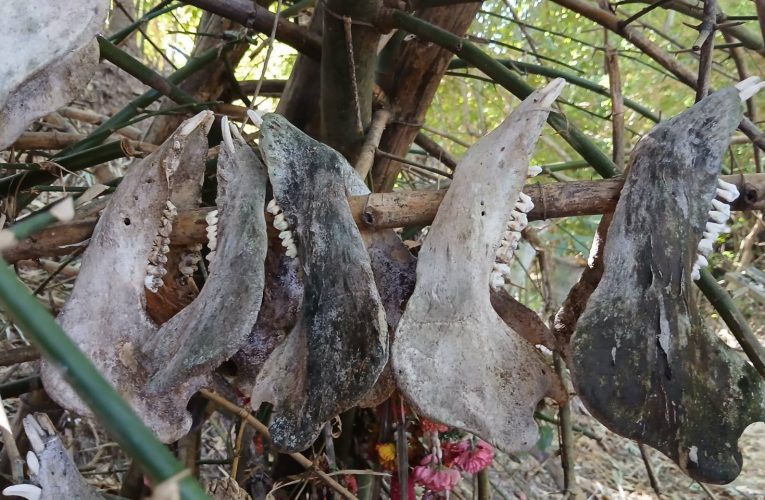 สกลนคร ตะลึงพบโครงกระดูกป่าอาถรรพ์