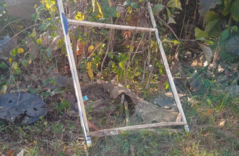 พรรคส้มถูกกรีดป้าย