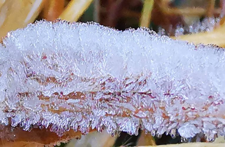 อินทนนท์หนาวเย็นแม้อุณหภูมิเพิ่มขึ้นแต่ยังคงหนาวอยู่ อุณหภูมิต่ำสุด 5 องศา นักท่องเที่ยวยังคึกคักเช่นเดิม