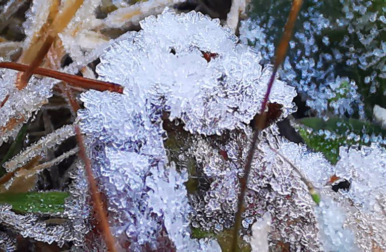 อากาศกับมาหนาวยะเยือกอีกครั้ง ฮือฮาเกิดเหมยขาบเกาะเต็มแผ่นไม้ขาวโพล,หลังคารถยนต์,กระจกหน้าหลังรถเหมยขาบเกาะเต็มไปหมด นักท่องเที่ยวตื่นเต้น ได้บันทึกภาพเหมยขาบ สัมผัสอากาศหนาวแบบจุใจอีกครั้ง อุณหภูมิต่ำสุด 3 องศาที่ยอดดอย และยอดหญ้าติดลบ -2.8 องศา และ 0.0 องศา