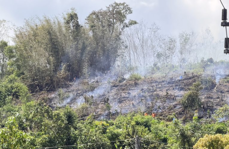 ยะลา จุดไฟเผาหญ้าแห้ง กอไผ่ ไฟลามไหม้สวนทุเรียนเพิ่งปลูก