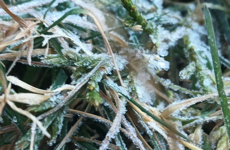 อากาศหนาวต่อเนื่อง อุณหภูมิต่ำสุด 2 องศา ที่ยอดดอยและกิ่วแม่ปาน อุณหภูมิยอดหญ้าติดลบ -3.3 องศา และ 0.0 องศา เกิดเหมยขาบขาวโพลหลาายจุด รวมทั้งหลังคารถยนต์ที่จอดไว้ในโรงรถ หน่วยพิทักษ์ แผ่นไม้,ราวไม้ เหมยขาบเกาะขาวโพล นักท่องเที่ยวคึกคัก