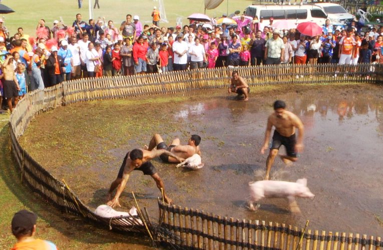 สุพรรณบุรี สีสันการแข่งจับหมูกีฬาเชื่อมความสามัคคีด้านภัยยาเสพติด