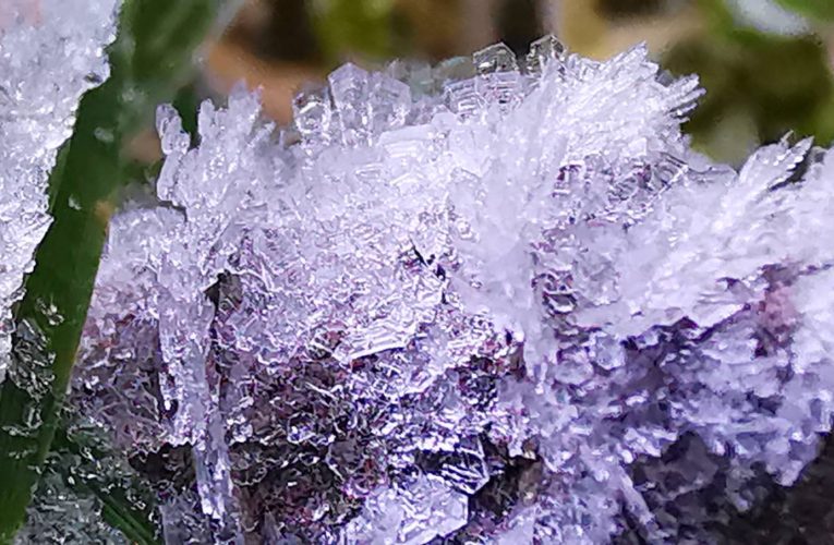 อากาศหนาวอุณหภูมิเพิ่มขึ้นเล็กน้อย แต่ยังคงหนาวอยู่ เกิดเหมยขาบเกาะเต็มหลังคารถ แผ่นไม้ และยอดหญ้า ขาวโพลอยู่ นักท่อ่งเที่ยวคึกคัก