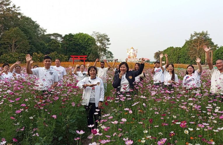 สิงห์บุรี / รองผู้ว่าฯ สิงห์บุรี ชวน “สองน่องท่องท่าช้าง” เดินชมทุ่งคอสมอส 3 กม. ปลุกพลังชุมชนหยุดเผาลดฝุ่น PM2.5