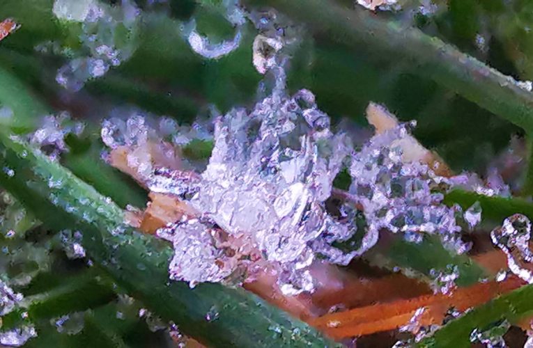 อากาศหนาวเชียงใหม่ อุณหภูมิต่ำสุด 5 องศา ที่ยอดดอย ยังเกิดปรากฏการณ์เหมยขาบ นักท่องเที่ยวไดัชมแสงอาทิตย์ยามเช้า ทะเลหมอก อย่างมีความสุข อุณหภูมิยอดหญ้ายังติดลบ -.0.3 องศา