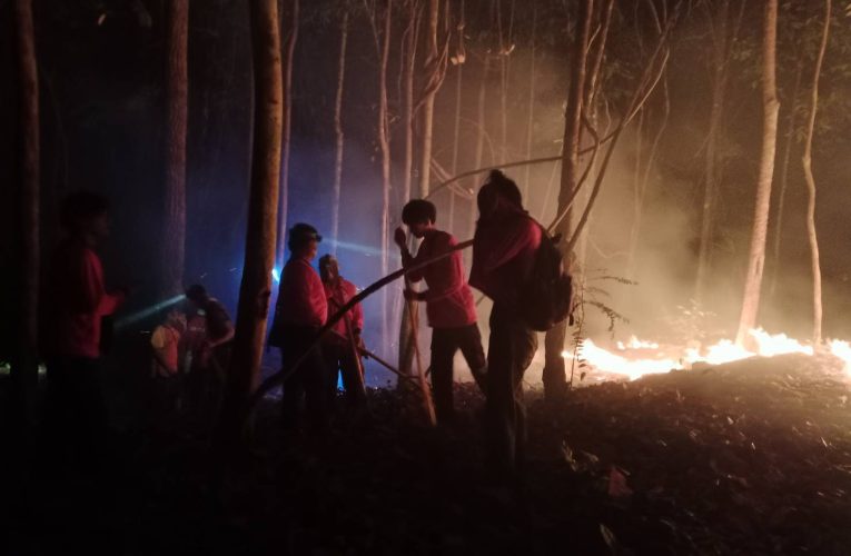 ไฟป่าชายแดน