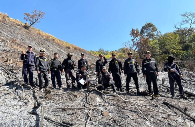 แม่ฮ่องสอน ป่าไม้ระดมกำลังตรวจสอบพื้นที่ถูกลักลอบเผาและเตรียมใช้มาตรการงดเผาวันที่ 1 กุมภาพันธ์นี้