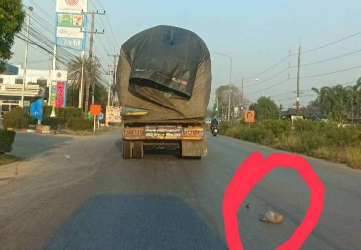 ขับรถไล่ถ่ายภาพรถบรรทุกขนขยะฟ้องหน่วยงานรับผิดชอบ จี้บริษัทรับเหมาปิดผ้าใบคลุมมิดชิดแน่นหนา