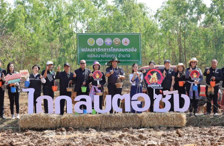 สกลนคร ไถกลบตอซังโครงการหยุดเผาในพื้นที่การเกษตรชูแนวคิด สกลนครไม่เผา เราทำได้