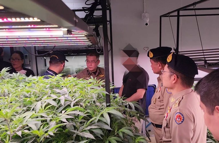 ผู้ว่ากระบี่นำทีมเข้าตรวจค้นจับกุมฟาร์มกัญาชาชาวอิสราเอลที่ใช้คนไทยเป็นผู้ถือหุ้นนอมินีที่บริษัทแคนนาซอนจำกัดบ้านไสไทยอำเภอเมืองห่างจากบ้านกำนันและอดีตผู้แทนพรรคหนึ่งเพียง 2 กิโลเมตร