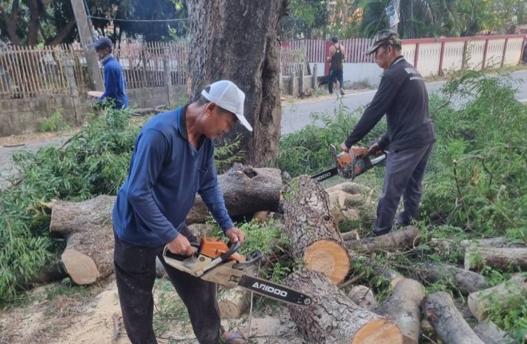 “มงคล ชัยวุฒิ”นายกเทศมนตรีเทศบาลตำบลเชิงดอย ร่วมกับฝ่ายบริหาร เจ้าหน้าที่ ตลอดจนพนักงานเทศบาลเชิงดอย ช่วยกัน พัฒนา ปรับภูมิทัศน์ (บิ๊กคลีนนิ่งเดย์) ตัดต้นไม้ ที่อาจเป็นอันตรายต่อการสัญจรของชาวบ้าน
