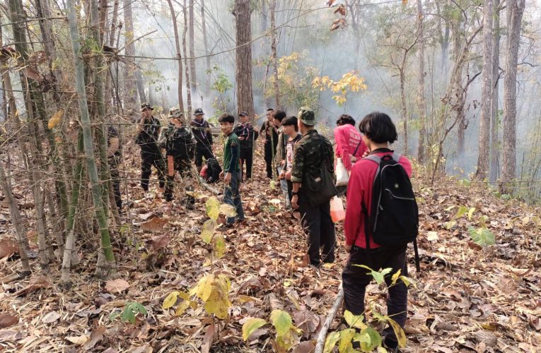 จัดการเชื้อเพลิงเพื่อลดไฟป่าและหมอกควัน