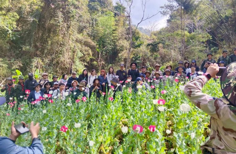 ตัดไร่ฝิ่นที่เมืองปาย