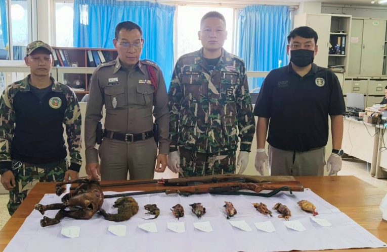 ลาดตระเวนป่าสาละวิน