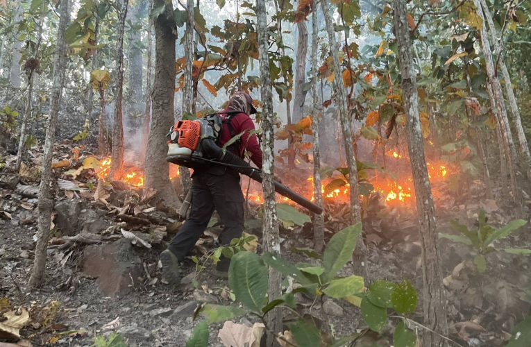 ดับไฟป่าดอยกองมู