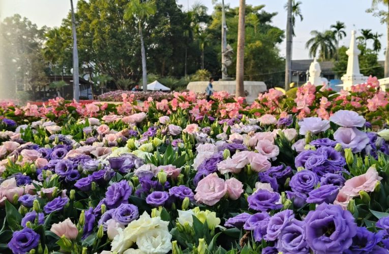 เทศบาลนครเชียงใหม่ชวนเที่ยวงานมหกรรมไม้ดอกไม้ประดับ ครั้งที่ 49 สัมผัสมนต์เสน่ห์พรรณไม้นับแสนต้น 13 – 15 ก.พ. นี้