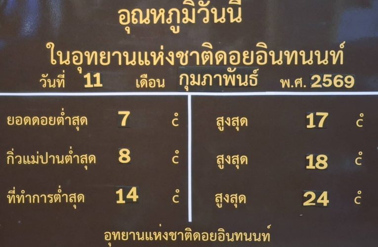 ใกล้สิ้นสุดแล้วฤดูหนาว อินทนนท์ อุณหภูมิต่ำสุด 7 องศา นักท่องเที่ยวยังคงขึ้นมาสัมผัสบรรยากาศบนดอย