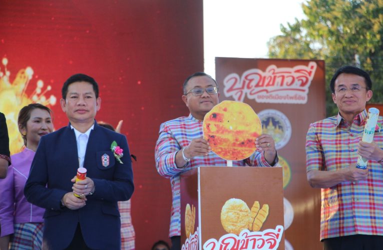 ร้อยเอ็ด งานประเพณีบุญข้าวจี่ ของดีเมืองโพธิ์ชัย สืบสานฮีตสิบสองประเพณีเดือนสาม