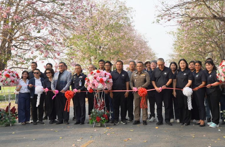 เปิดแล้ว “เทศกาลชมพูพันธุ์ทิพย์บานสะพรั่ง 2569”