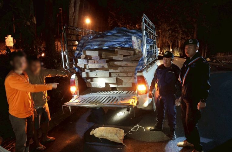 หนีไม่รอดจับมอดไม้