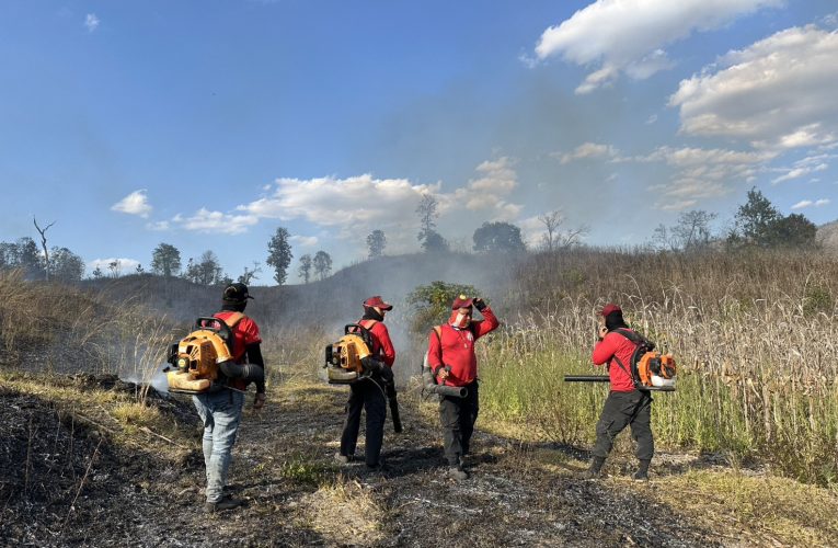 เร่งดับไฟป่าสาละวิน