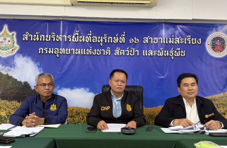 เหตุถนนรุกป่าสั่งย้ายหน.ขสป.ด่วน