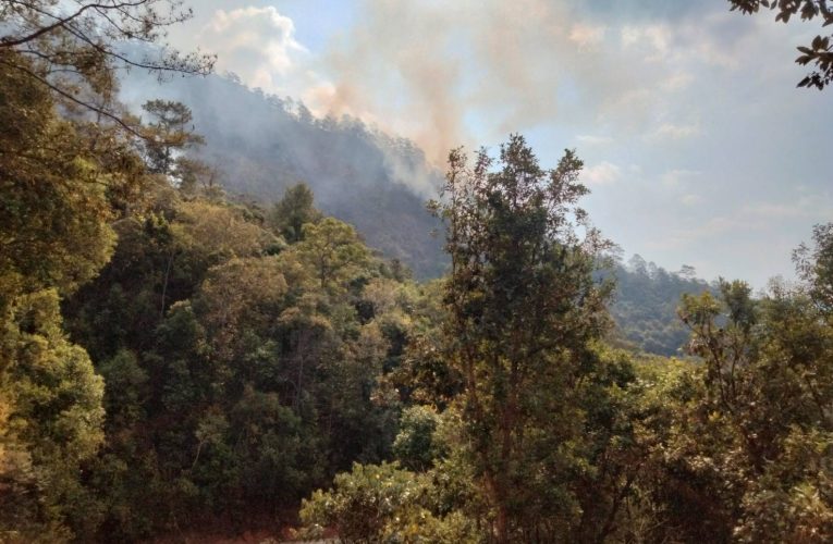 ดับไฟป่าห้วยไม้ดำได้บางส่วน