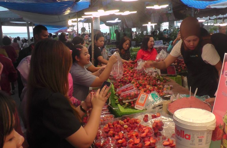 เริ่มแล้วงานเกษตรแฟร์และโอท๊อปกระบี่ 20 – 26 กุมภาพันธ์ที่ลานพระอาทิตย์ถนนท่าเรือเน้นความรู้ให้เกษตรกรพัฒนาผลผลิตผลิตภัณฑ์ใช้ภาคการเกษตรกระตุ้นเศรษฐกิจ