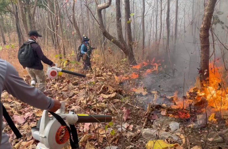 ลำพูน เกิดไฟป่าชุมชนบ้านห้วยแทงป่าต้นน้ำลี้