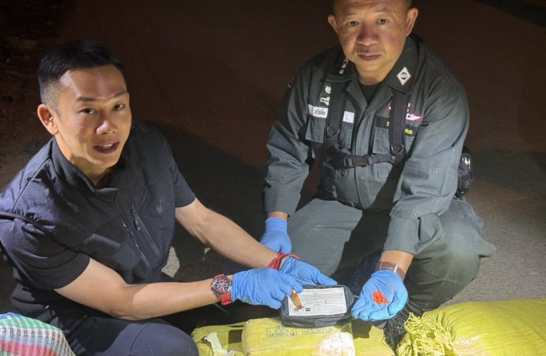 ทหารกองกำลังผาเมือง สกัดกั้นจับกุมขบวนการลักลอบลำเลียงยาเสพติด ยึดยาบ้า 1,600,000 เม็ด พร้อมผู้ต้องหา 1 ราย นพตัวผู้ต้องหาพร้อมของกลางส่ง สภ.แม่อาย ดำเนินคดีตามกฏหมาย