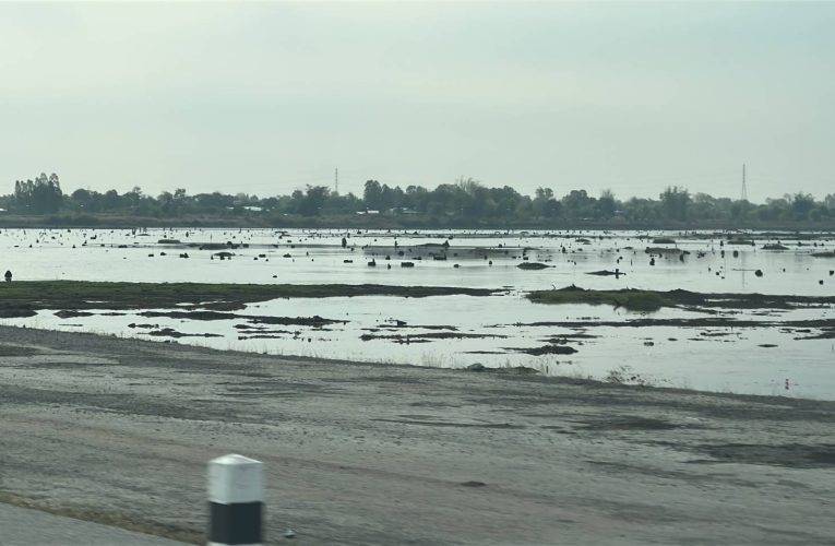 สกลนคร เกษตรกร 6 หมู่บ้านฮือทวงน้ำหลังอ่างปล่อยน้ำแห้งเกรงข้าวนาปรังเสียหาย