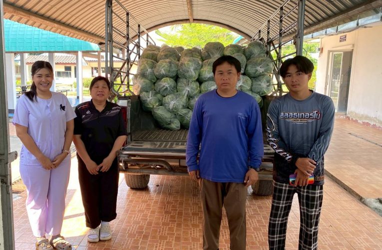 พาณิชย์แพร่ !!! มอบกะหล่ำปลีสด สนับสนุนอาหารกลางวันโรงเรียนราชประชานุเคราะห์ 25 และโรงเรียนแพร่ปัญญานุกูล