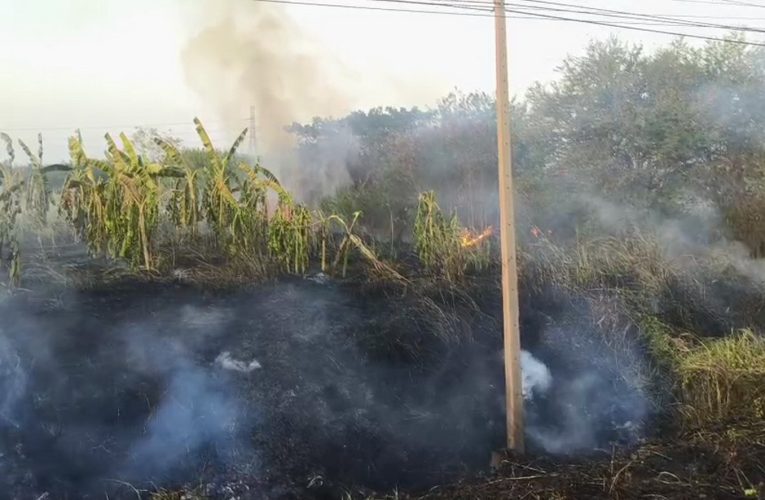 นอภ.ท่าวุ้งอำนวยการดับเพลิงที่ไหม้จากข้างทางใกล้โกดังเก็บผลผลิตการเกษตร