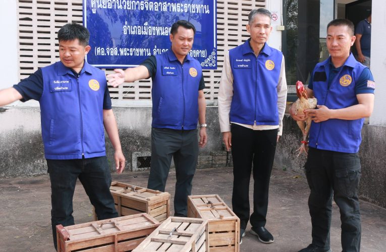 ปกครองเมืองหนองคาย บุกทลายบ่อนไก่ชน สนามซ้อมคัดไก่ชน ศ.คำกอง รวบนักพนัน 18 ราย ไม่มีใครแสดงตัวเป็นเจ้าของ