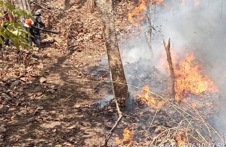 แม่ฮ่องสอน ไฟป่ากระทบ ต้องระดมกำลังเสือไฟเขาจัดการร่วมกับตรวจหาทางอากาศ