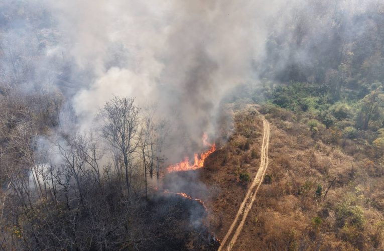 เร่งแก้ปัญหาไฟป่าหลังจุดความร้อนทะยาน 341 จุด